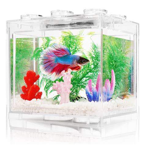 Betta Fish Tank With Light