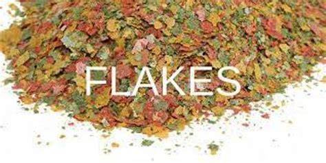 Betta Food Flakes