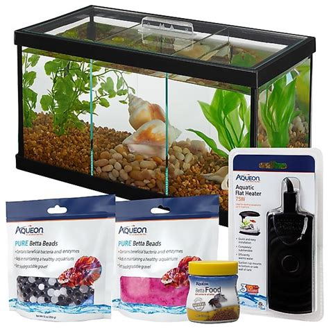 Betta Starter Kit