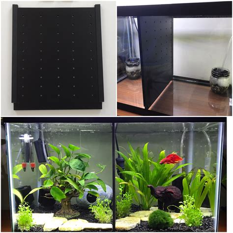 Betta Tank Divider
