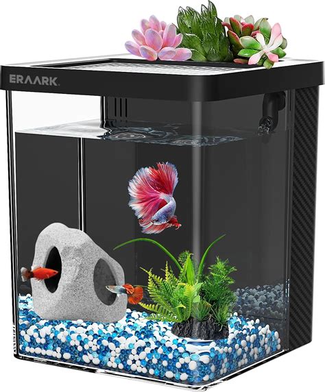 Betta Tank With Filter