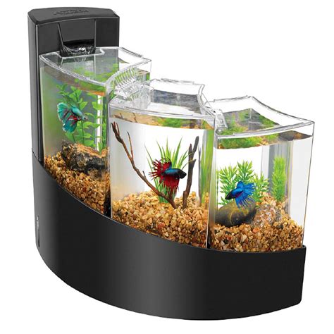Betta Waterfall Tank