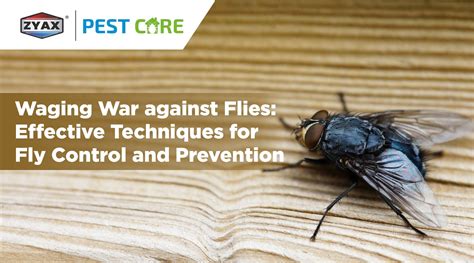 Better Alternatives for Effective Fly Control