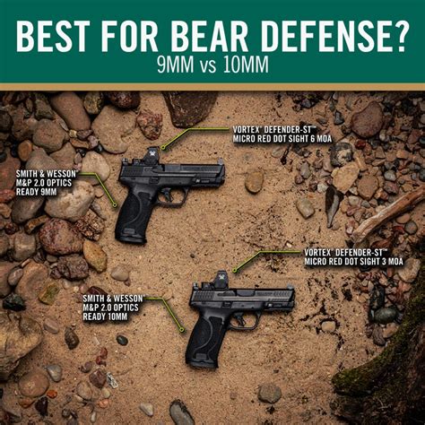 Better Options for Bear Defense
