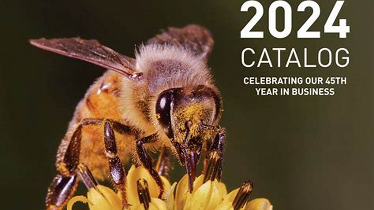 Betterbee Coupon Code 2024
