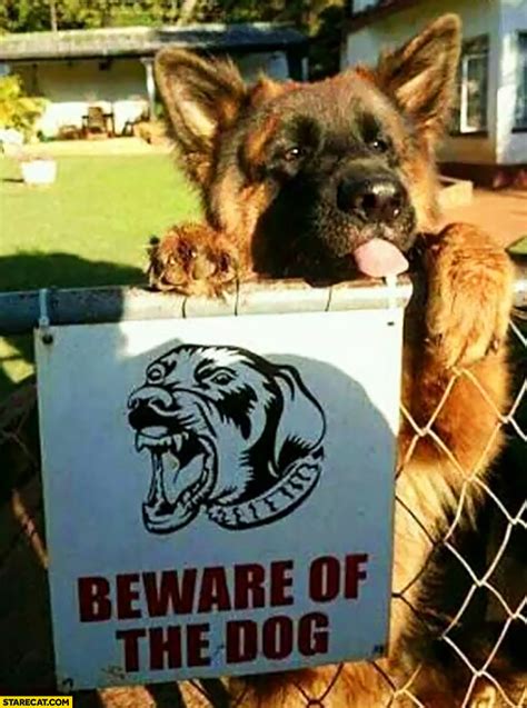Beware Of Dog Meme