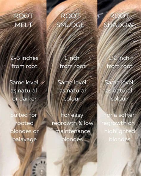 Beyond Hair: What Root Color Means in Botany