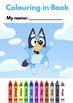 Beyond the Colours Learning with Bluey