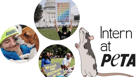 Beyond the Tutorials: Petas Community Support