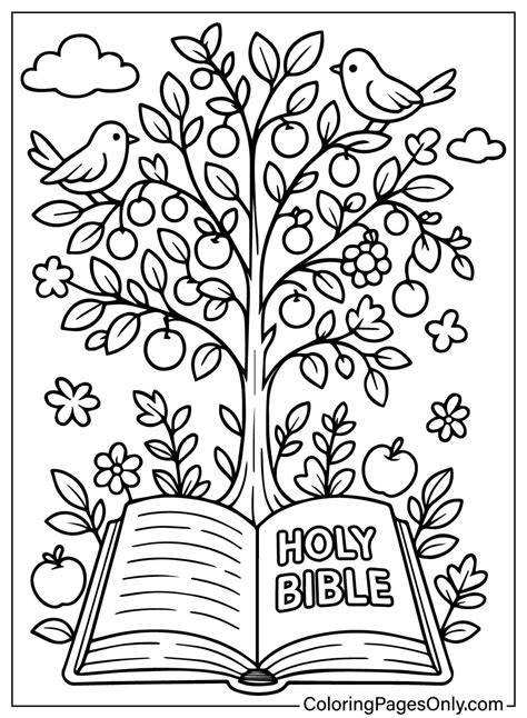 Bible Book Coloring Pages