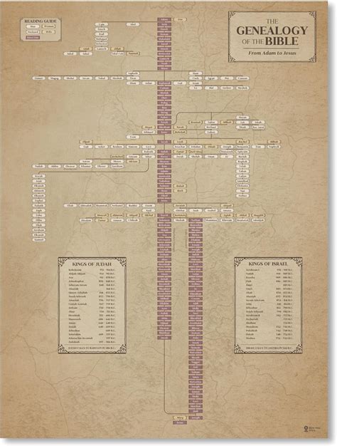 Biblical Genealogy Chart