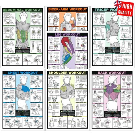 Bicep Workout Chart Hd