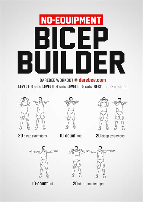 Bicep Workout Routine No Equipment