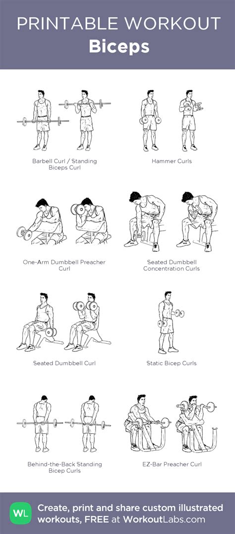 Bicep Workout Routine Pdf