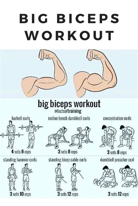 Bicep Workout Routine Youtube