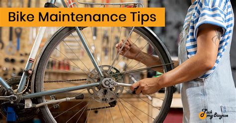 Bicycle Maintenance