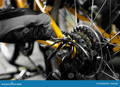 Bicycle maintenance