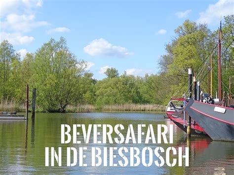 Biesbosch alternatives