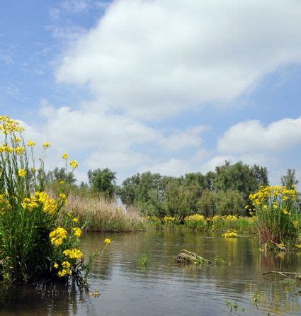 Biesbosch unique experience