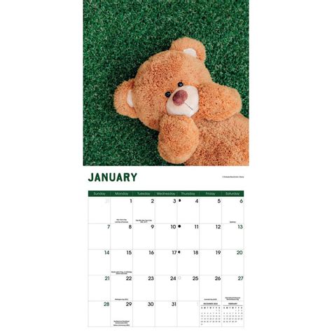 Big Bear Calendar