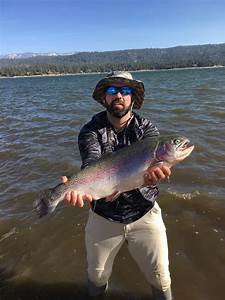 Big Bear Lake Fish