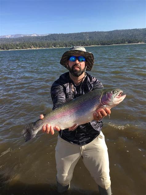 Big Bear Lake Fishing Report