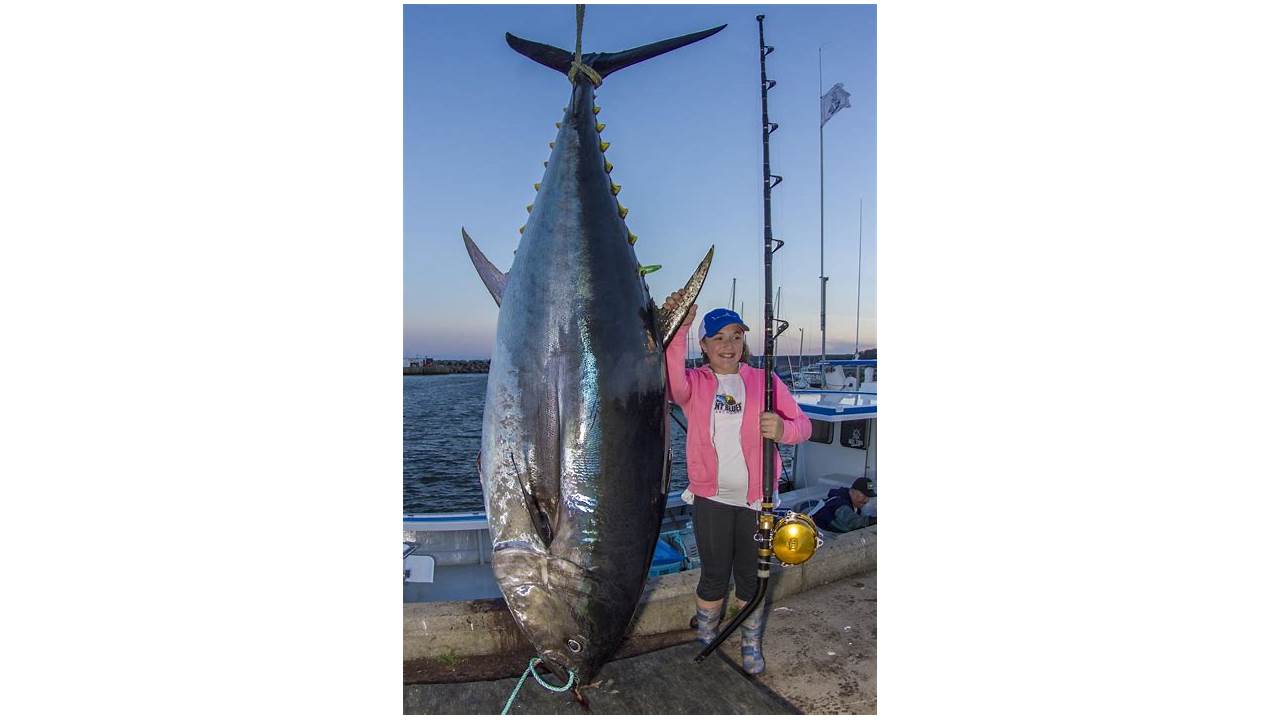 Big Bluefin Tuna