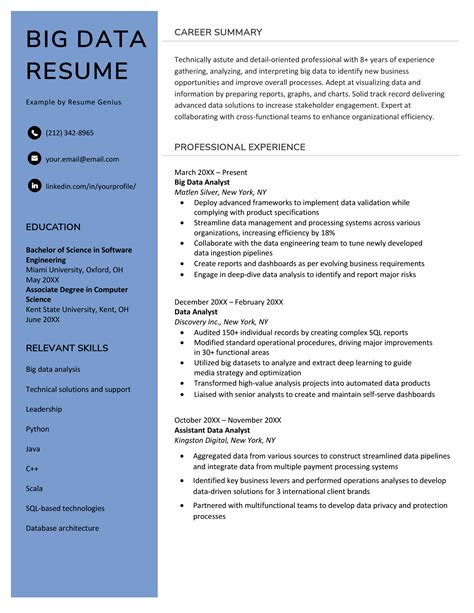 Big Data Resume Sample