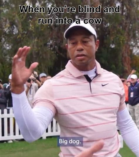 Big Dog Meme