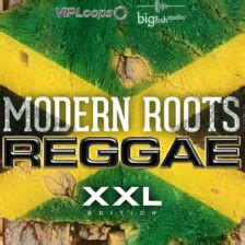 Immerse Yourself in the Soulful Sounds of Modern Roots Reggae with Big Fish Audio's XXL Pack