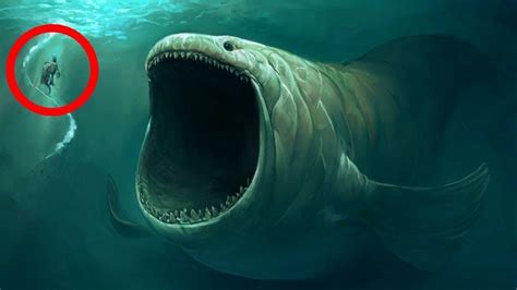 Big Scary Ocean Animals