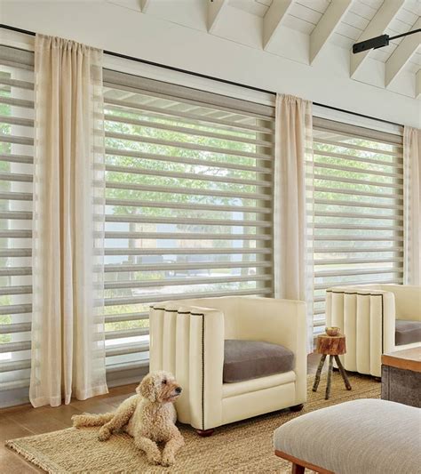Big Window Blinds