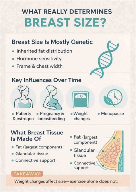 Bigger Breasts: Effective Methods & Solutions