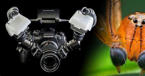 Biggest problem with most twin macro flash systems