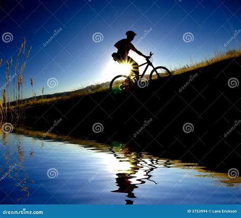 Biking Reflection