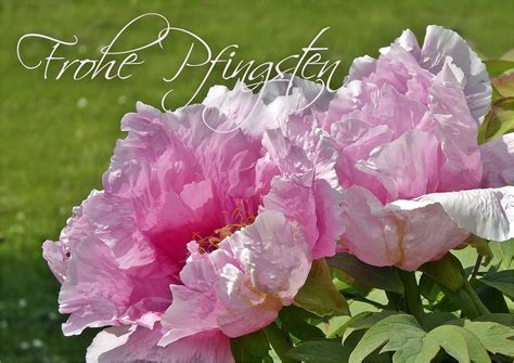 Bild Pfingsten