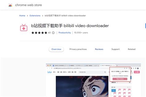 Bilibili Video Downloader Extensions for Browsers