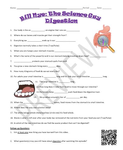 Bill Nye Digestion Worksheet Answers