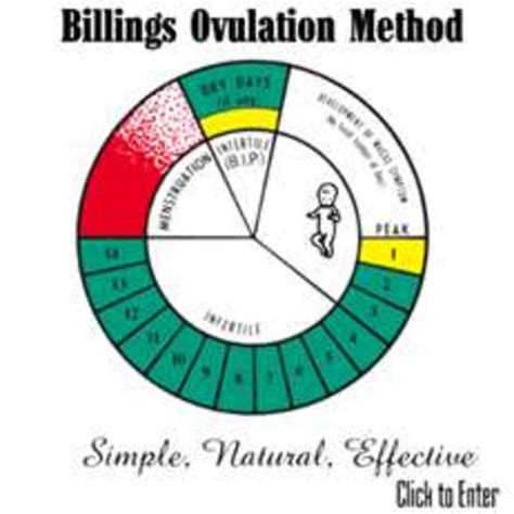 Billings Method Chart