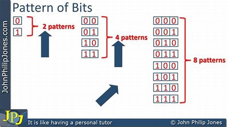 Binary Bit Pattern