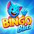 Bingo Blitz Download On Phone