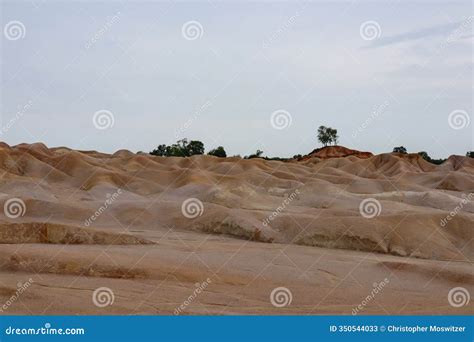 Bintan Desert Landscape