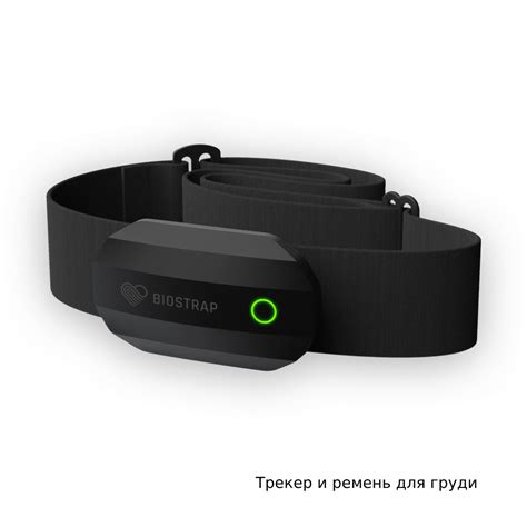 Bio Strap Reviews