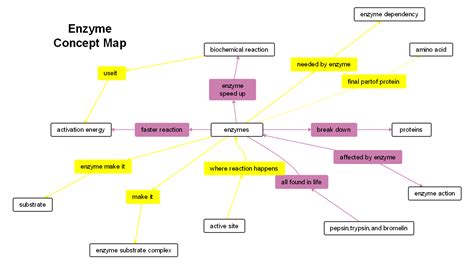 What is Life? Part II Biomolecules and the Code New