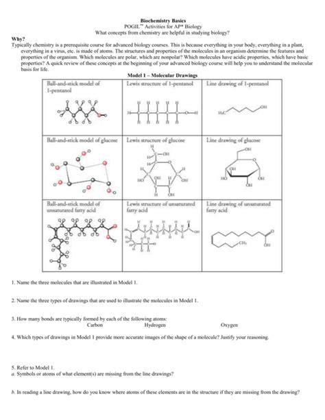 Biochemistry Basics Worksheet Answers