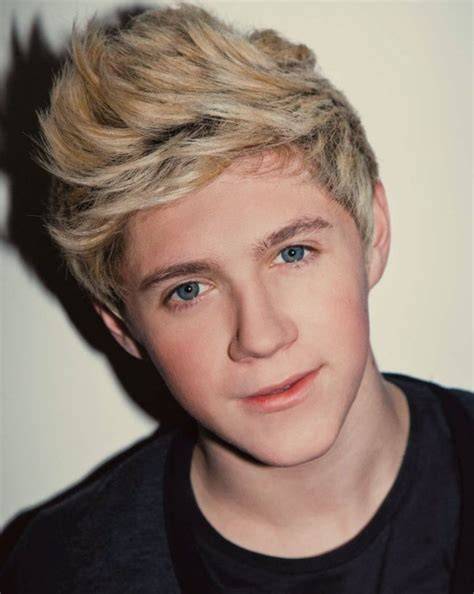 Biodata Niall One Direction