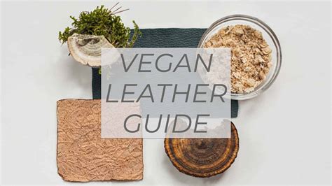 Biodegradable Alternatives To Leather
