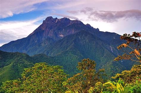 Biodiversitas di Gunung Kinabalu
