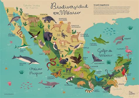 Biodiversity map of Mexico [1200x1200] MapPorn