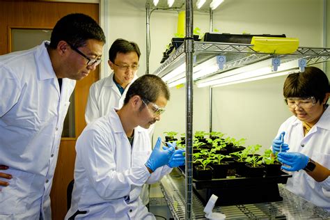 Bioengineering